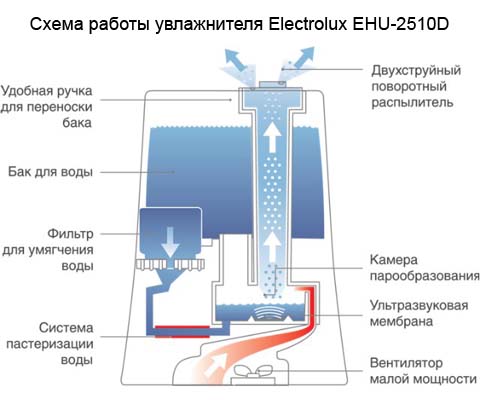 Оранжевый цвет приора Оранжевый цвет приора