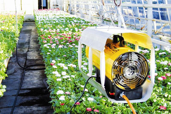 Тепловая пушка в теплице Тепловая пушка в теплице