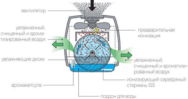AOS_2055